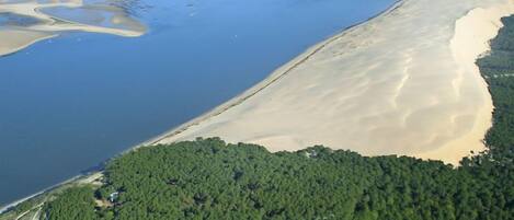 Vista aérea de una zona costera con una playa arenosa, un área boscosa y una masa de agua.