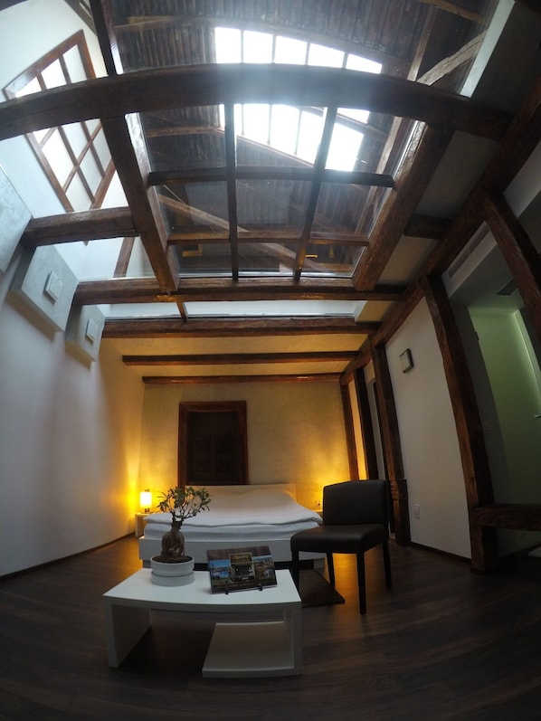 Una habitación con tragaluz, una cama, una silla, una mesa con una planta y un marco de fotos, y una puerta.