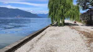 A waterfront walkway with a weeping willow tree, a concrete edge, and a person sitting on a chair.