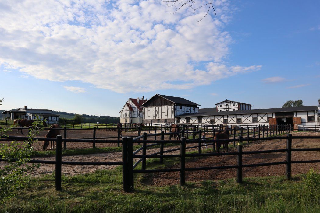 A stable with horses and a white building with a dark roof.