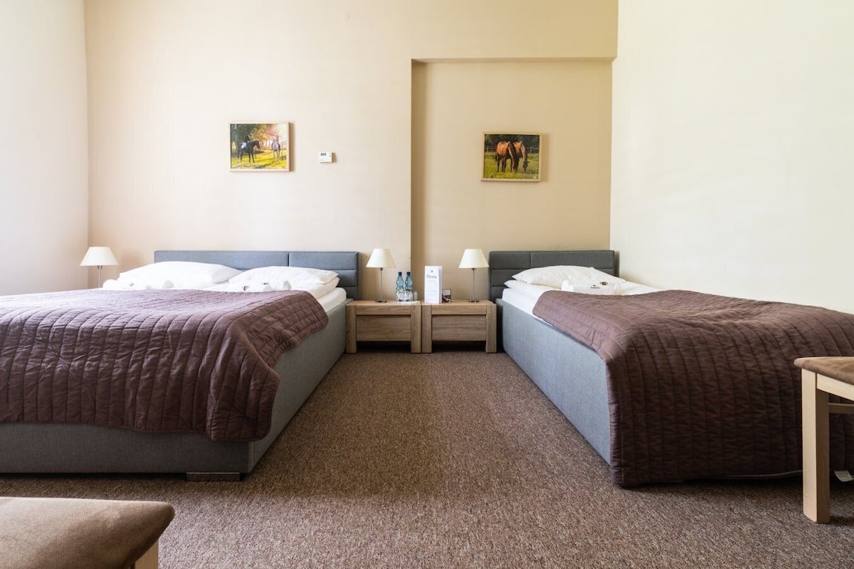 Economy Triple Room