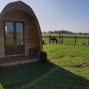 Exterior - Skipbridge Farm Glamping (York)