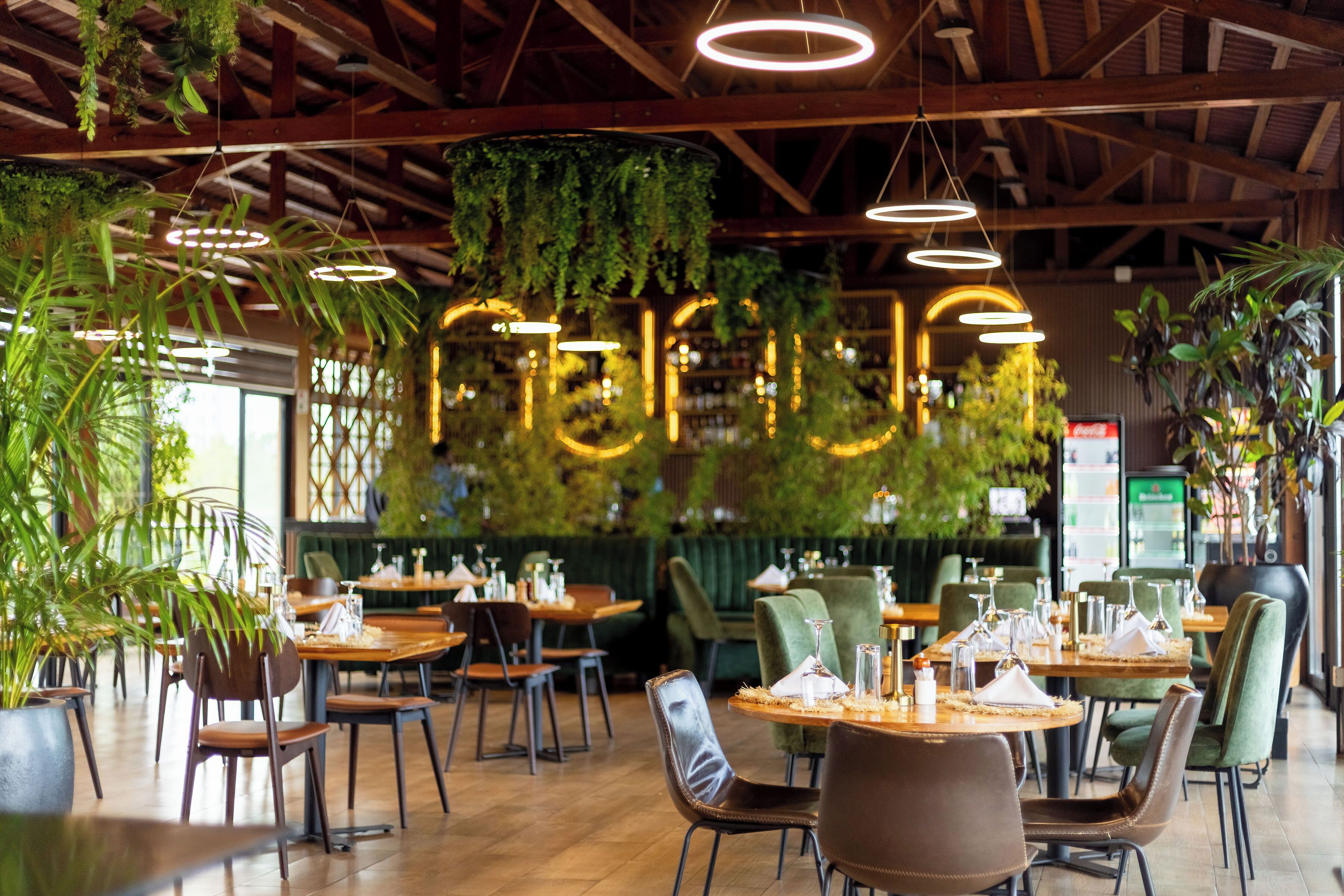 A restaurant interior with wooden tables, green upholstered chairs, hanging plants, and circular ceiling lights.