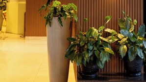 A lobby with a wooden panel wall, a large potted plant, and a hanging light fixture. - Mythos Boutique Hotel (Kigali)