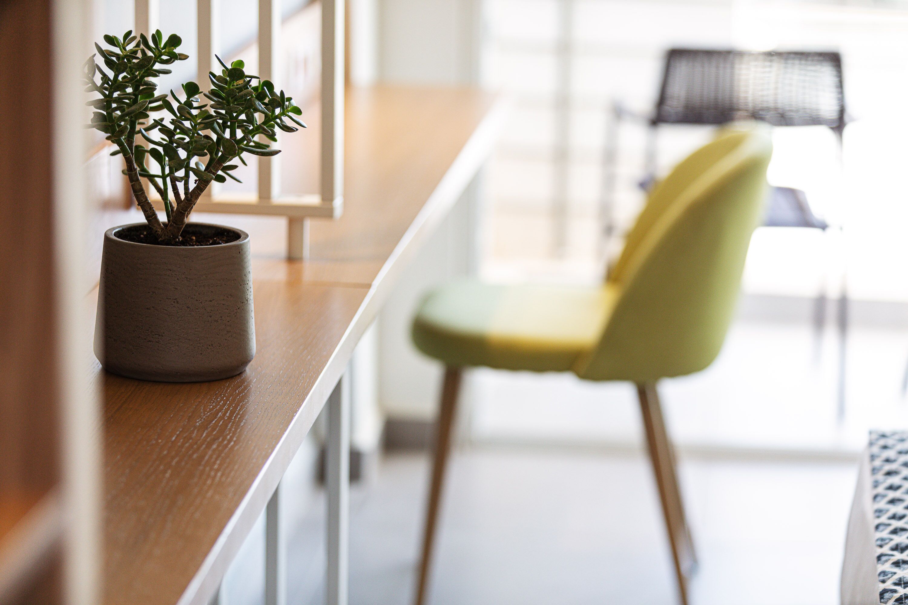 Een potplant op een houten oppervlak, een groene stoel en een witte balustrade.