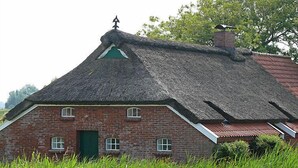 A traditional brick house with a thatched roof and a green door. - Itzendorfer Rott by Interhome (Norddeich)