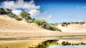 A sandy beach with sparse vegetation and a calm water body reflecting the sky. - Tapuit 8 by Interhome (Noordwijk)