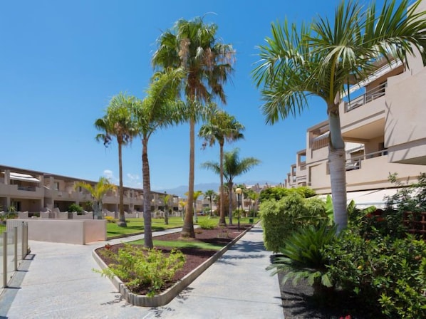 A resort with a central pathway, palm trees, and modern buildings.