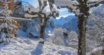 Breithorn Residence Apt.09 by Interhome