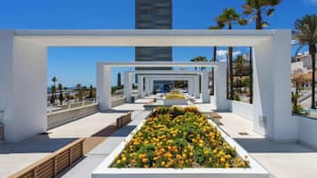 Terrein van de accommodatie