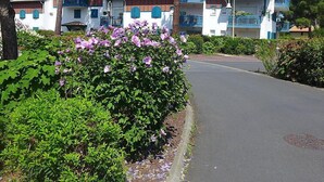 Un quartier résidentiel avec des immeubles à plusieurs étages, une route asphaltée et une végétation luxuriante.