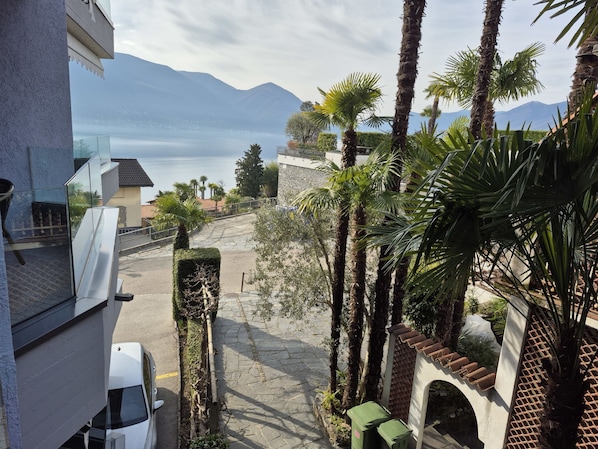 A view of a paved pathway leading to a body of water, flanked by palm trees and a stone wall. - Junior Suite Modern by Interhome (Ascona)