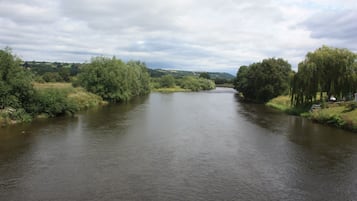 Ein Fluss mit Bäumen an beiden Ufern, bewölkter Himmel und ferne Hügel.