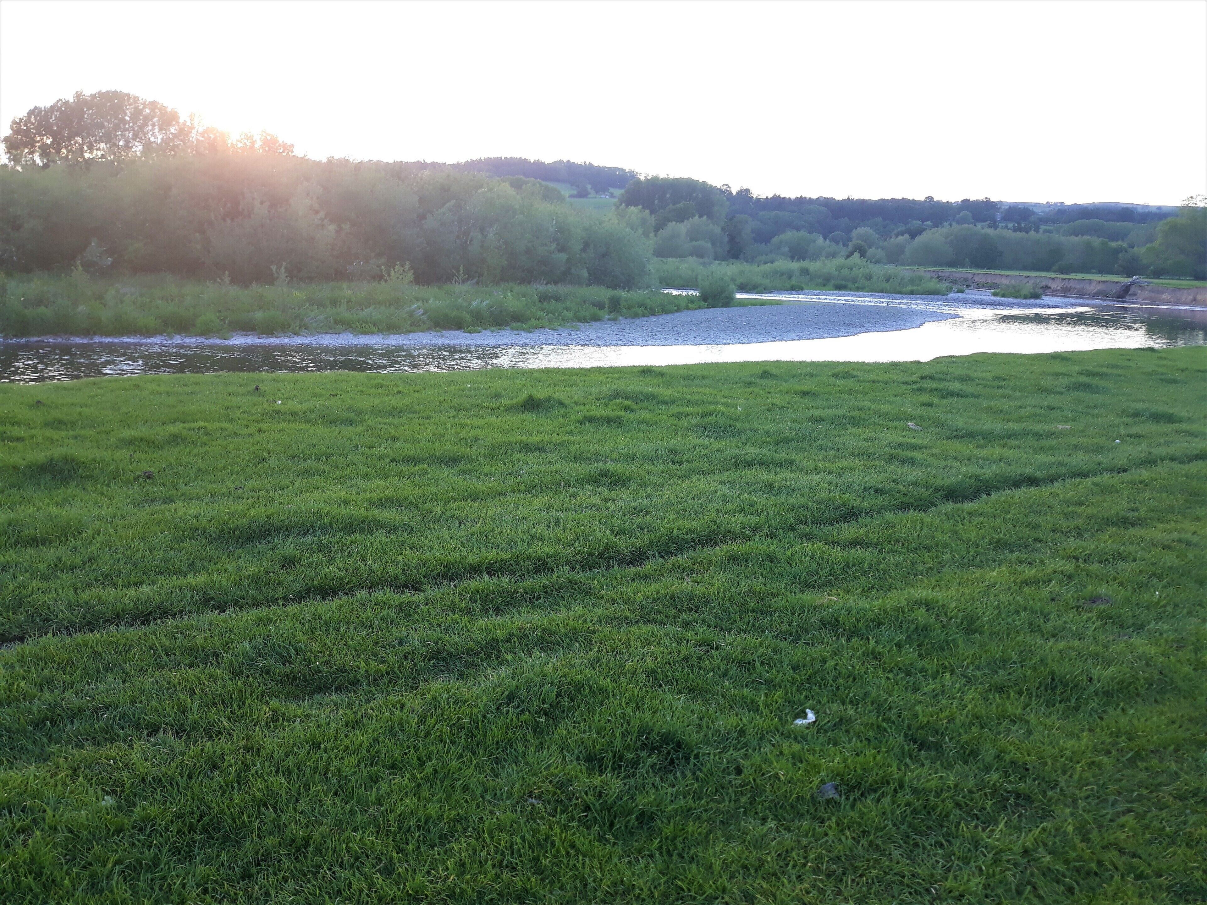 Un campo cubierto de hierba con un río y árboles al fondo.