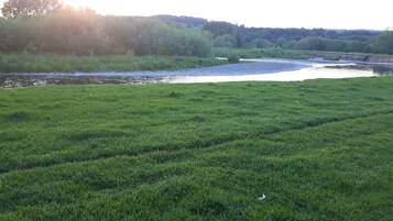 Un campo cubierto de hierba con un río y árboles al fondo.