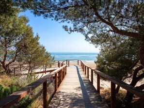 A wooden boardwalk leading to a beach with pine trees on either side.