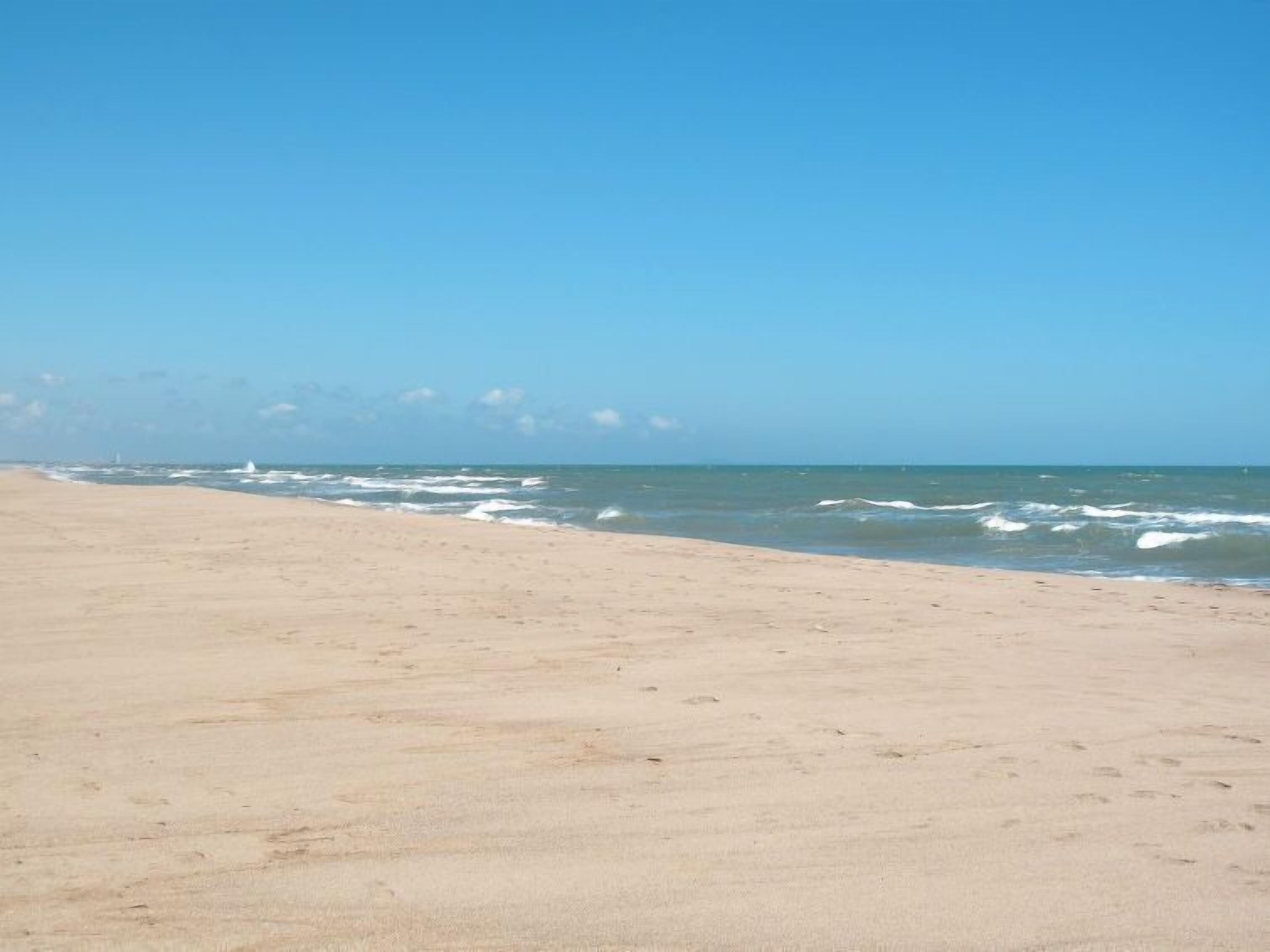 Ein Strand mit blauem Himmel und ruhigem Meer.