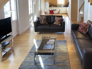 TV, fireplace, DVD player