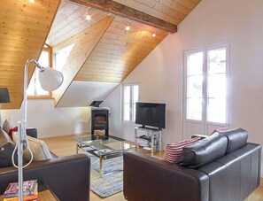 TV, fireplace, DVD player