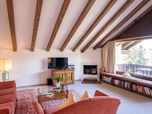 Télévision, cheminée, lecteur de DVD