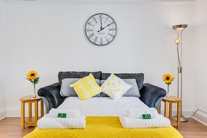 公寓 | 客厅 | 等离子电视