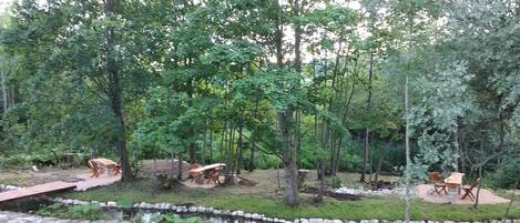 A forested area with a pond, picnic tables, and a stone pathway.