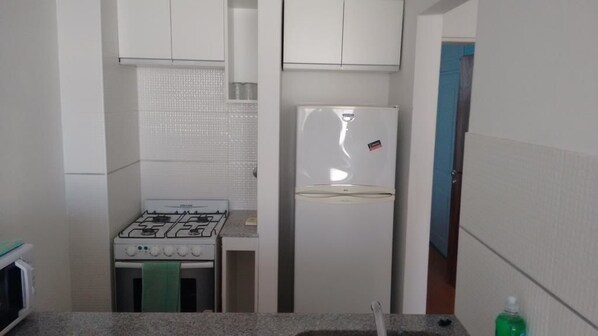 Full-sized fridge, microwave, oven, rice cooker