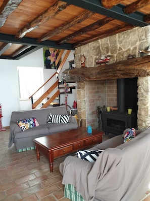 TV, fireplace, books