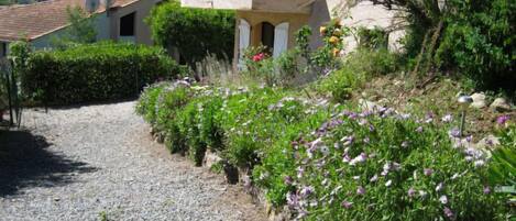 A gravel path leading to a house with a sloped roof, surrounded by lush greenery and flowering plants.