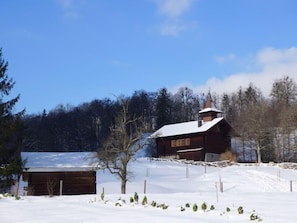 Exterior - Oltschiblick by Interhome (Brienzwiler)
