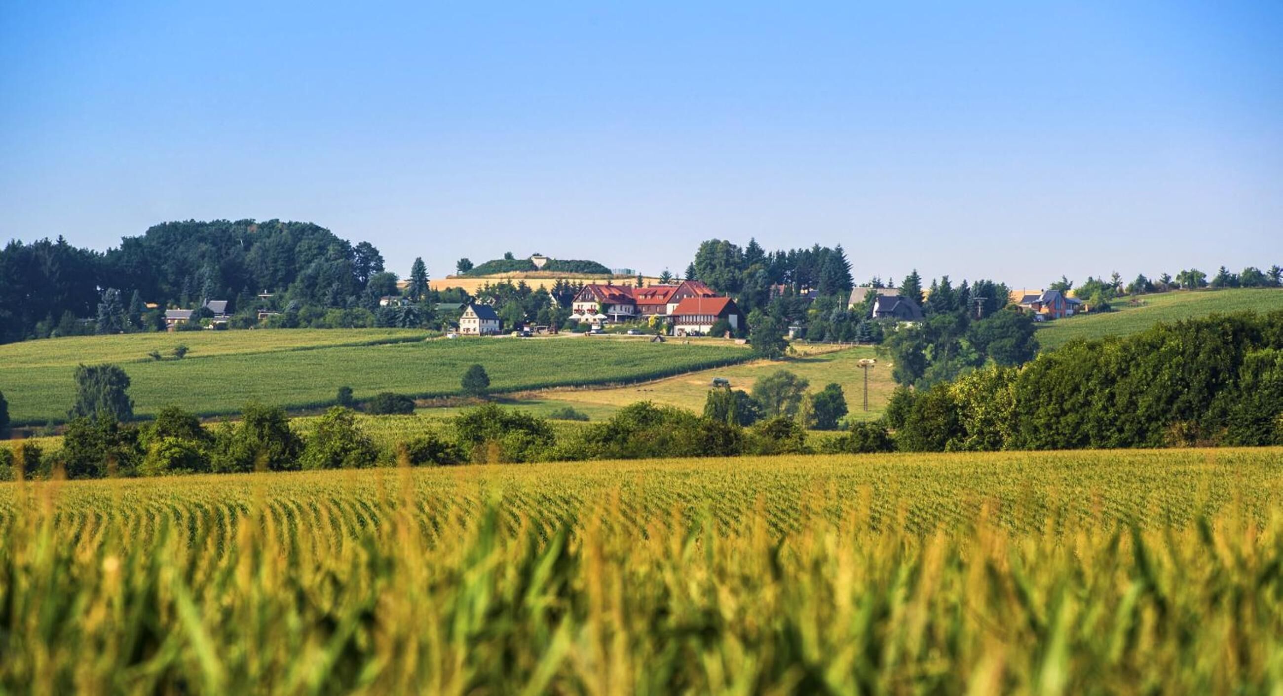 A rural landscape with a large building surrounded by fields and trees.