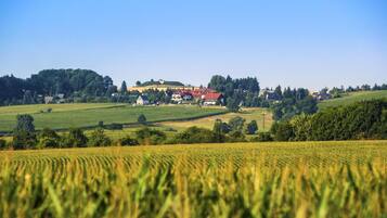 A rural landscape with a large building surrounded by fields and trees.