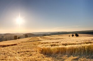 A vast, open field with a clear sky and distant hills. - Hotel NEUE HÖHE (Klingenberg)