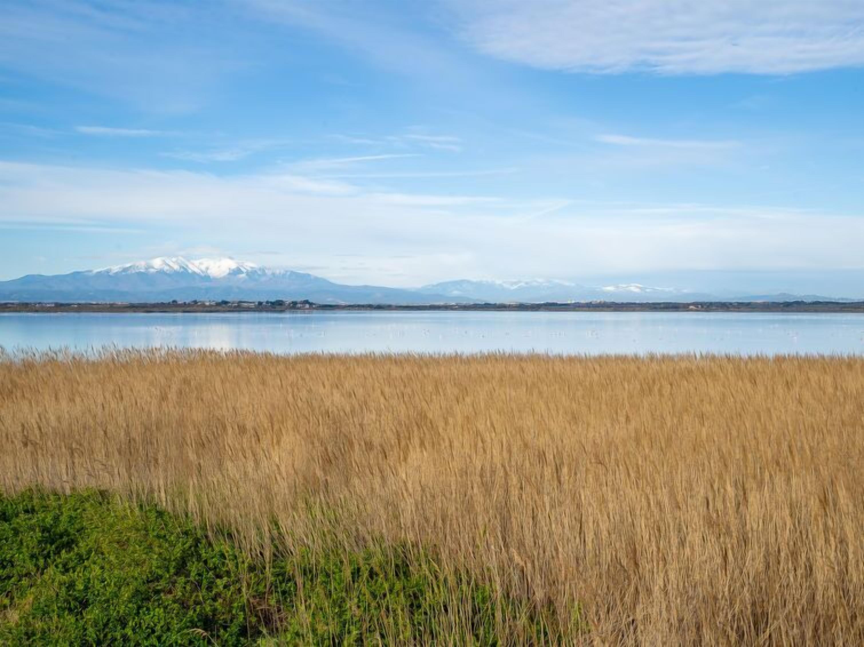 Un lago con una catena montuosa sullo sfondo e erba alta in primo piano.