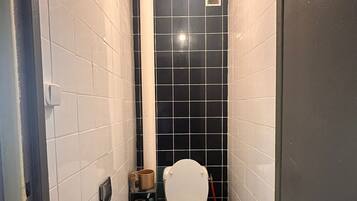 Combined shower/bathtub, hair dryer, towels, soap