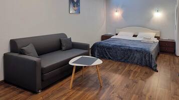 Studio | Iron/ironing board, free WiFi, bed sheets