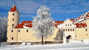 A historic building with a central tower and a snow-covered tree in front. - Altstadt-Hotel (Freiberg)