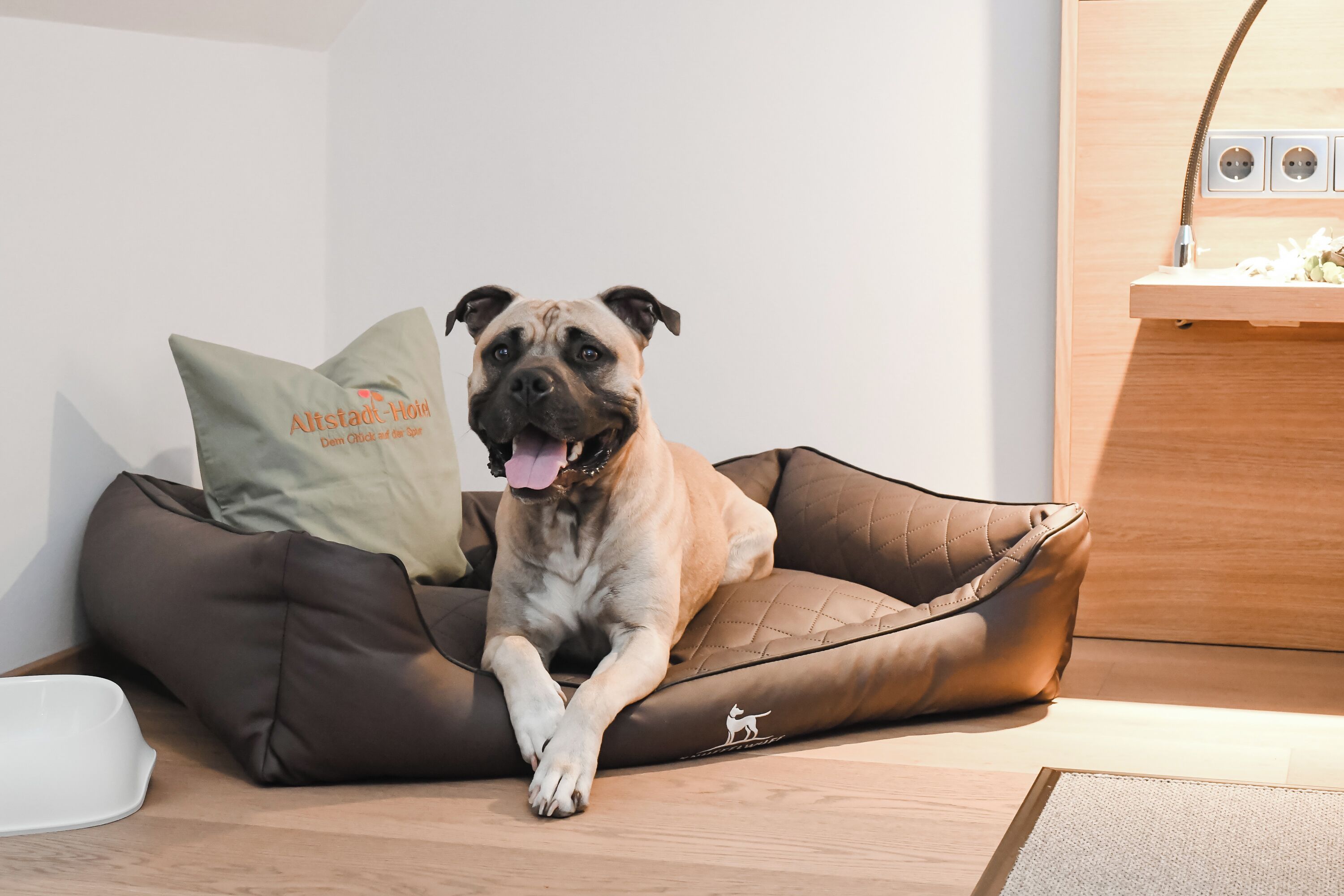 A dog in a brown pet bed with a logo, a white pillow, and a small white bowl on the floor.