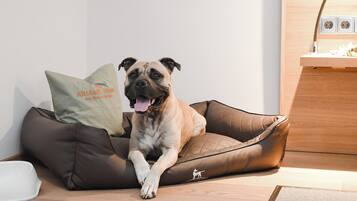 A dog in a brown pet bed with a logo, a white pillow, and a small white bowl on the floor.