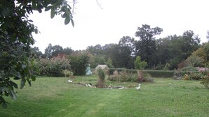 A grassy area with a pond, ducks, and a small shed.