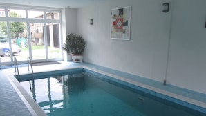 An indoor swimming pool with clear blue water, a tiled floor, and a potted plant near the wall.