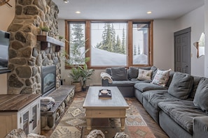 TV, fireplace, video game console