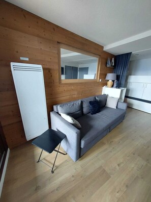 TV, DVD player - Homerez - Apt in L'Alpe d'Huez (L'Alpe d'Huez)