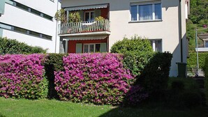 Eksteriør