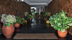 A hallway with stone walls, potted plants, and a wet floor. - Casa da Eira - Turismo Rural (Lousa)