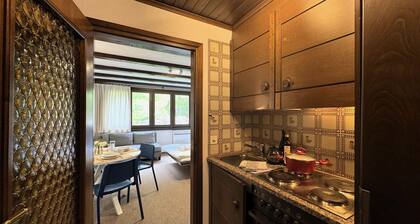 Apt. 33-1 by Interhome