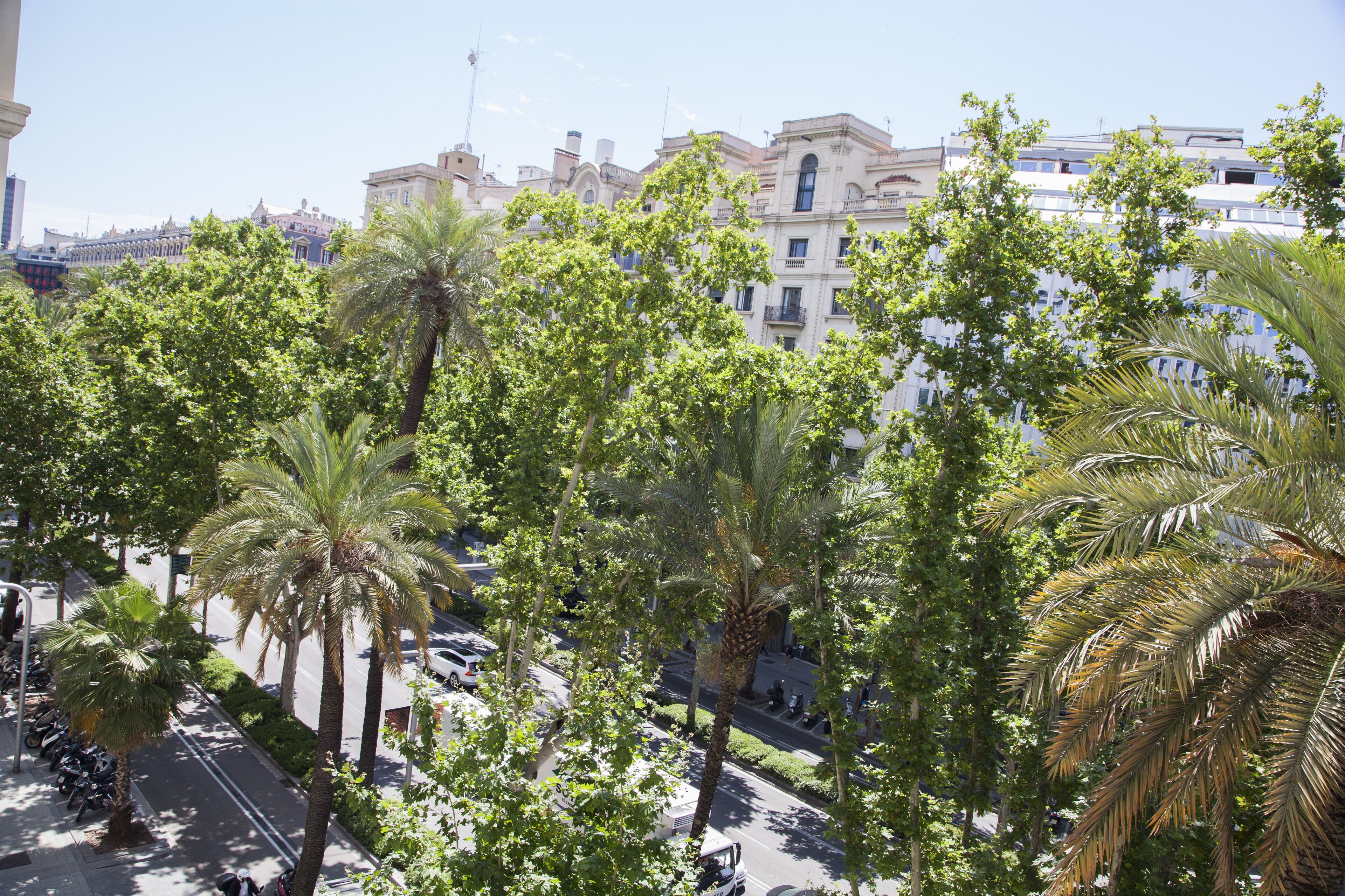 Foto - Wow Hostel Barcelona