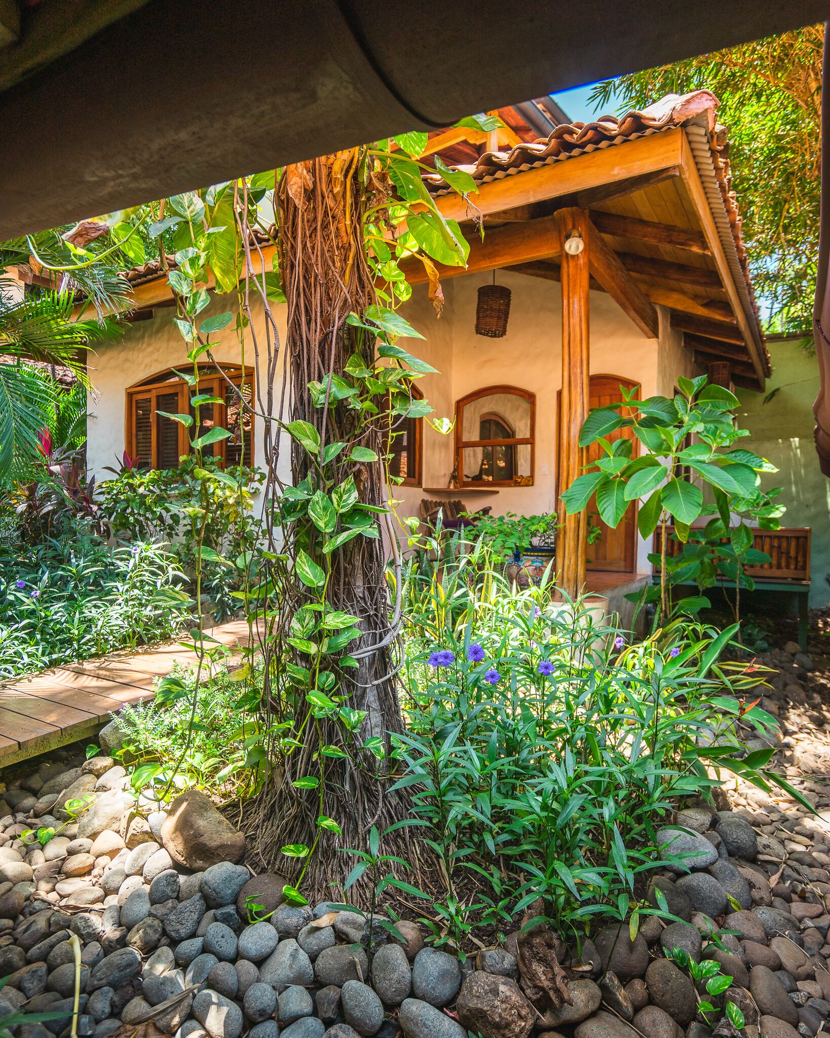 Sasha Suite | Exterior