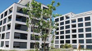 A modern multi-story building with a grid-like facade, large windows, and a small tree in the foreground. - LaVille B-1-2 by Interhome (Locarno)
