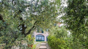 Un chemin de pierre mène à un bâtiment doté d’une porte verte et de fenêtres en arc de cercle, le tout étant entouré d’un feuillage dense.